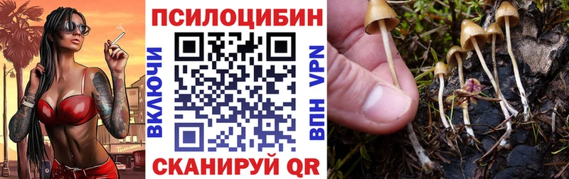 Купить закладки  Лихославль  Псилоцибиновые грибы прущие грибы 